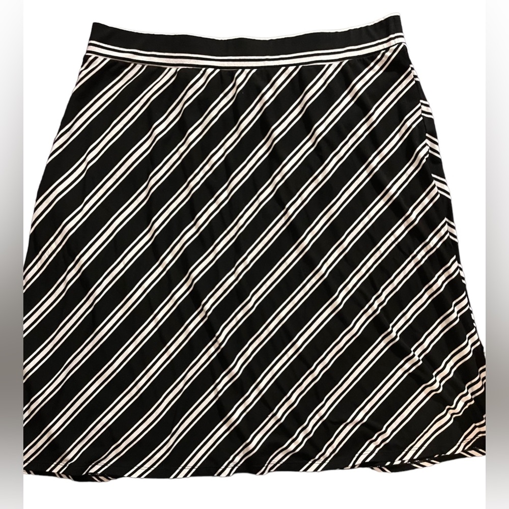 2XL Skirt